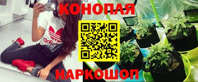 альфа пвп Шелехов