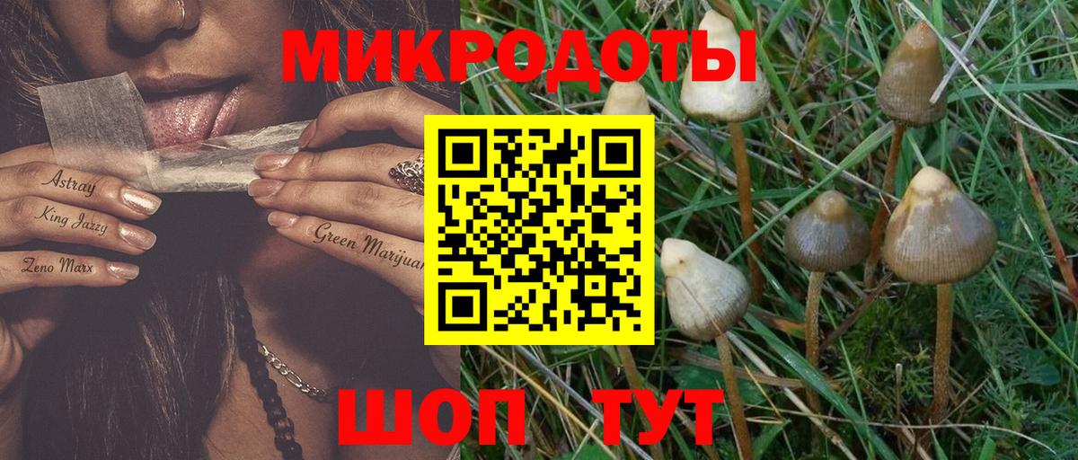 Белебей  Галлюциногенные грибы MAGIC MUSHROOMS  Вход с VPN  Псилоцибиновые грибы GOLDEN TEACHER 