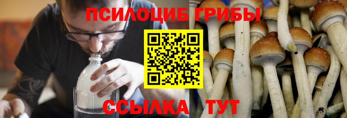 Псилоцибиновые грибы ЛСД Белебей